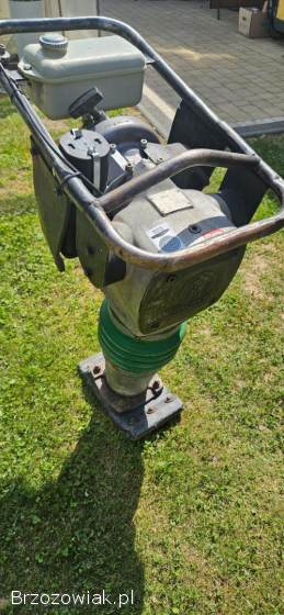 Skoczek Wacker WM80 BS62Y