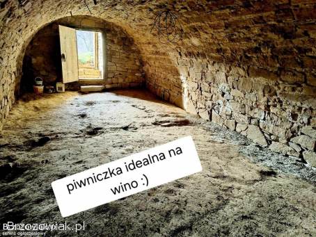 Siedlisko na podkarpaciu.  90 ar.  -  Świetna Cena