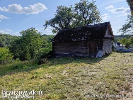 Siedlisko na podkarpaciu.  90 ar.  -  Świetna Cena