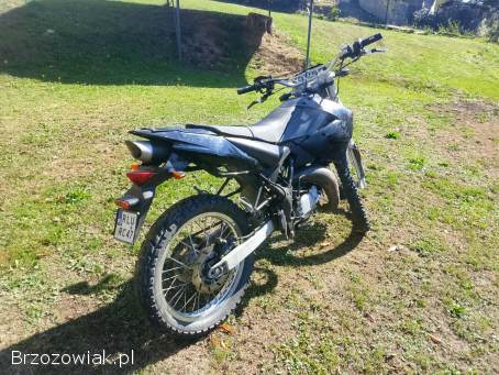 Generic Trigger Enduro 2006