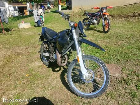 Generic Trigger Enduro 2006