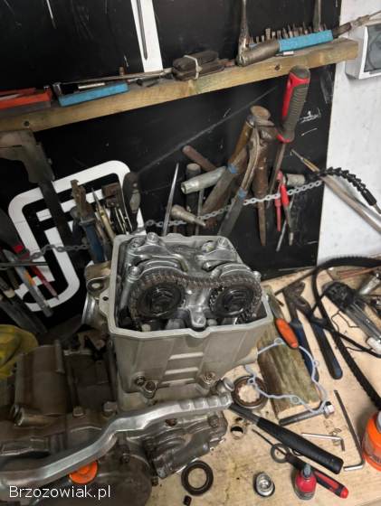 KTM SX-F 2010