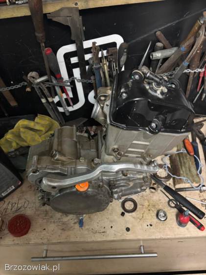 KTM SX-F 2010
