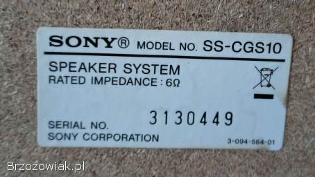 Wieża Sony HCD-GS10