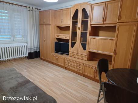 Mieszkanie do wynajęcia.