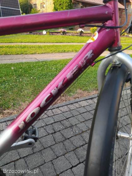 Rower męski