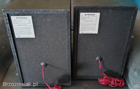 Kolumny Pioneer SP 150
