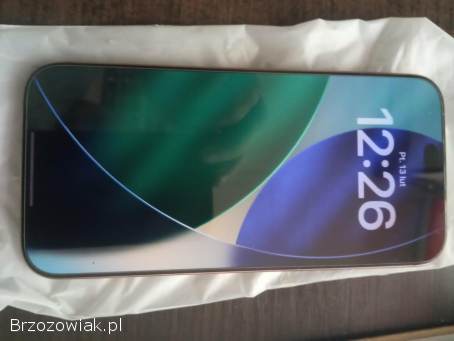 Apple iPhone 16 Pro Max 256 GB