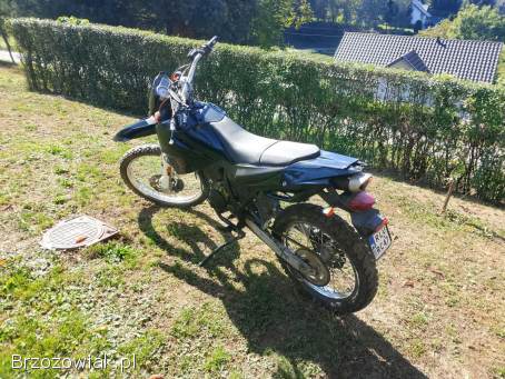 Generic Trigger Enduro 2006