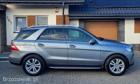 Mercedes-Benz ML 2011