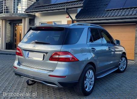 Mercedes-Benz ML 2011