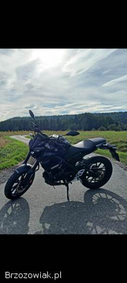 Yamaha MT 125 2023