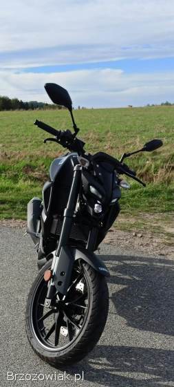 Yamaha MT 125 2023