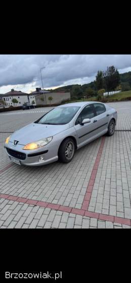 Peugeot 407 2004