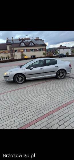 Peugeot 407 2004