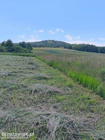 Widokowa działka budowlana -  20 arów,  Lutcza