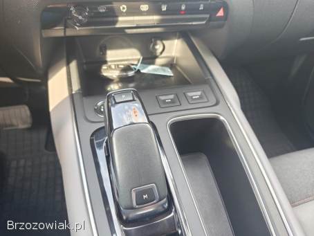 Citroën C5 Aircross S&S EAT8 2019 2019