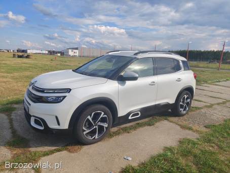 Citroën C5 Aircross S&S EAT8 2019 2019