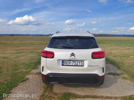 Citroën C5 Aircross S&S EAT8 2019 2019