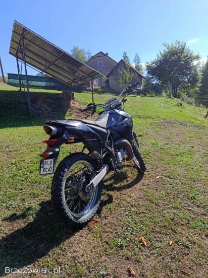 Generic Trigger Enduro 2006