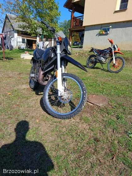 Generic Trigger Enduro 2006