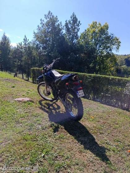 Generic Trigger Enduro 2006