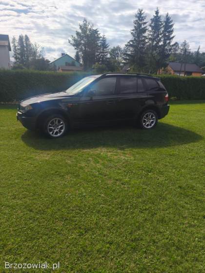 BMW X3 E83 2006