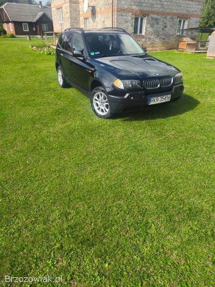 BMW X3 E83 2006