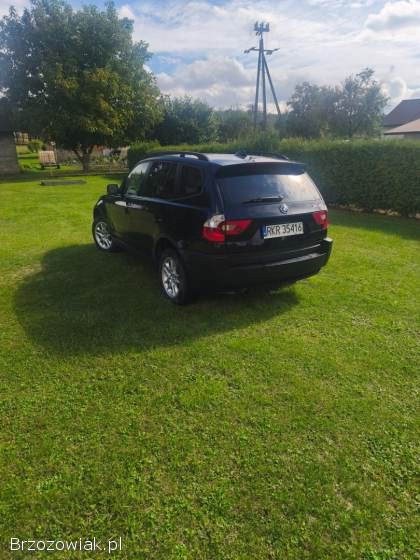 BMW X3 E83 2006