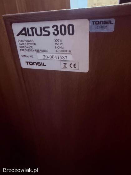Kolumny podłogowe Altus 300 + kable do bi-wirre
