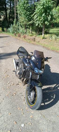 Kawasaki Z 750 2005