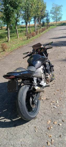 Kawasaki Z 750 2005