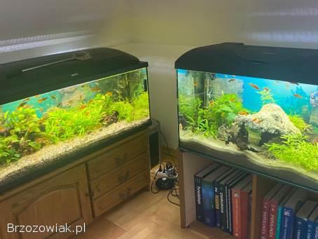 Akwarium 140 i 160l