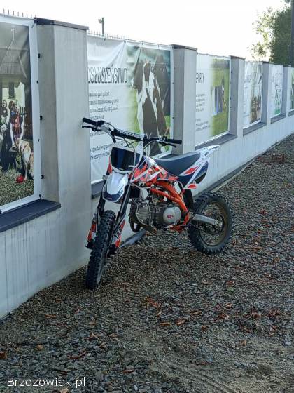 Kayo 160tt 2020