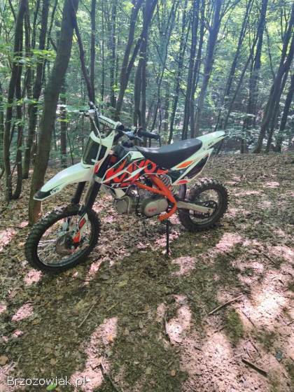Kayo 160tt 2020