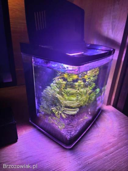 Akwarium Aquael AquaPod 4.  9l komplet