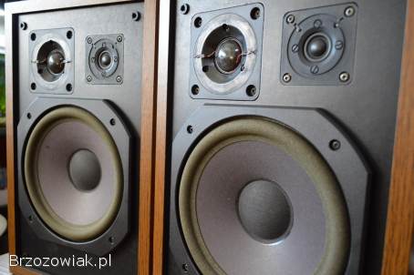 Ciepłe i Muzykalne CARNEGIE 90 Śliczne,  Oryginalne i Zadbane Wysyłka