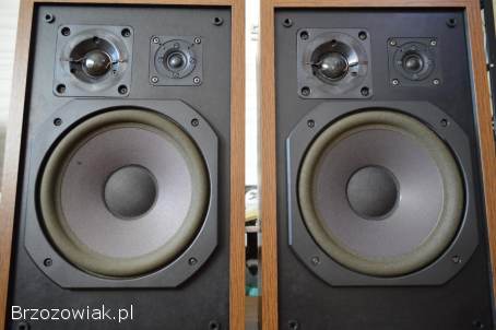 Ciepłe i Muzykalne CARNEGIE 90 Śliczne,  Oryginalne i Zadbane Wysyłka