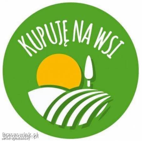 Kapusta szatkowana
