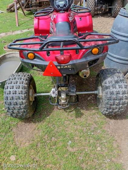 Quad 200