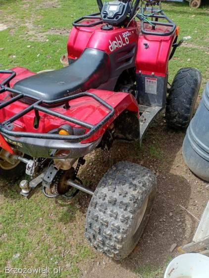 Quad 200