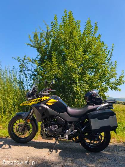 Suzuki V-Strom DL 2019