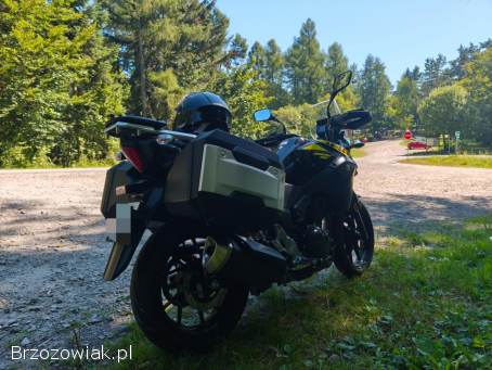 Suzuki V-Strom DL 2019