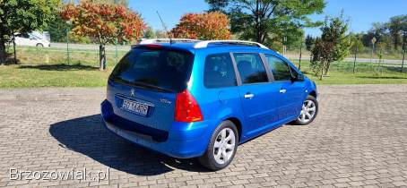 Peugeot 307 SW 2.  0 136KM 2005