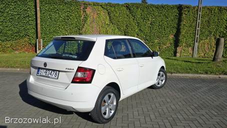 Škoda Fabia Active 1.  0 MPI 2017