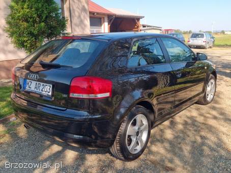 Audi A3 8P 1.  6 102km  2004