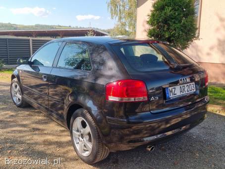 Audi A3 8P 1.  6 102km  2004