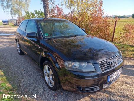 Audi A3 8P 1.  6 102km  2004