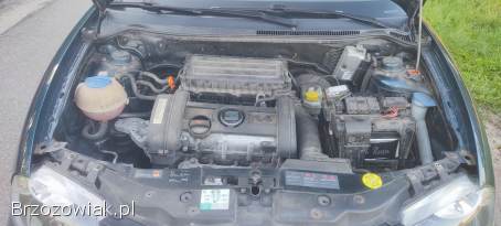 Seat Ibiza 1.  4 z Niemiec 2006