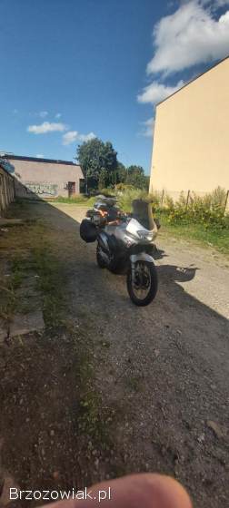 Honda Transalp 2006
